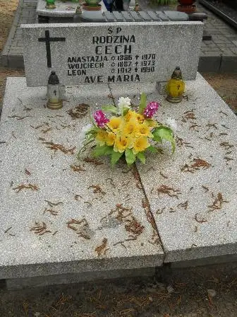 Zdjęcie grobu 33/100