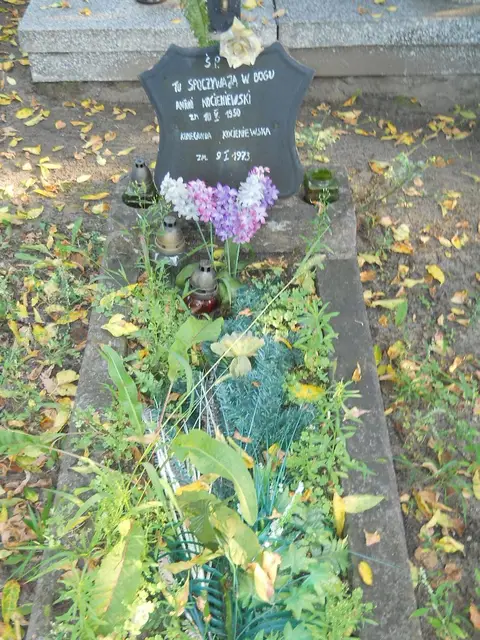 Zdjęcie grobu 15/26731