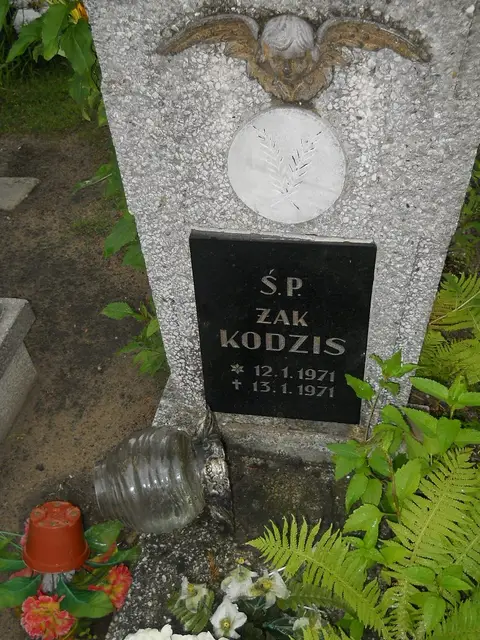 Zdjęcie grobu 21/23945