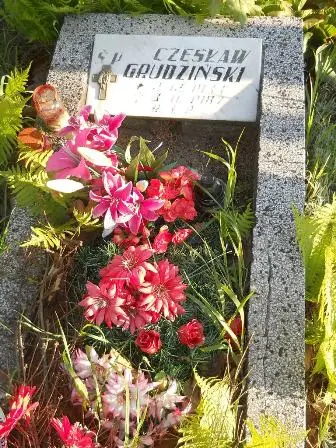 Zdjęcie grobu 45/100