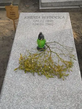 Zdjęcie grobu 10/152