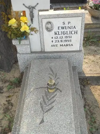 Zdjęcie grobu 9/100