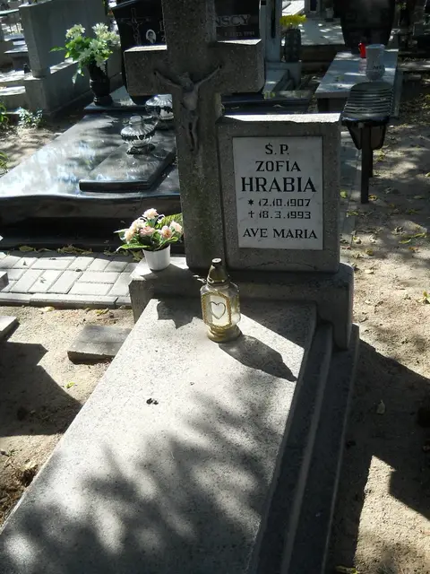 Zdjęcie grobu 17/28111