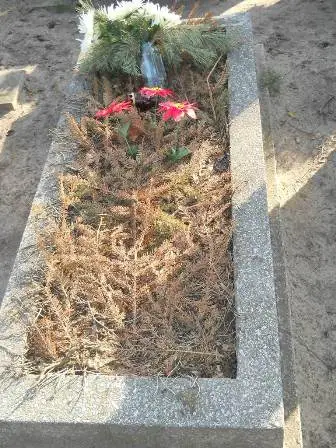 Zdjęcie grobu 2/100