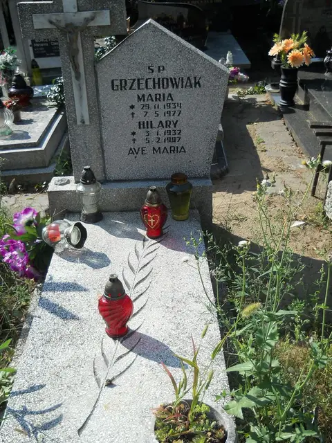 Zdjęcie grobu 17/28124