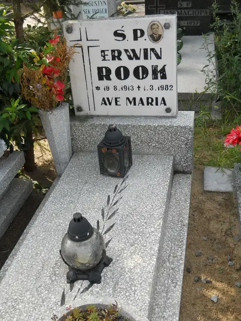 Zdjęcie grobu 11/29271