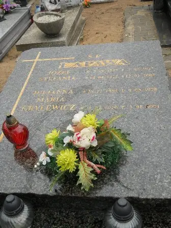 Zdjęcie grobu 36/249,250
