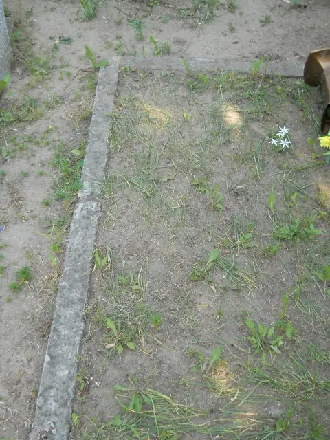 Zdjęcie grobu 7/12006