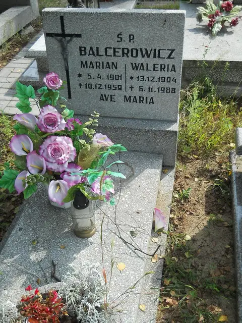 Zdjęcie grobu 16/26363