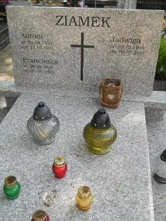 Zdjęcie grobu 26/100