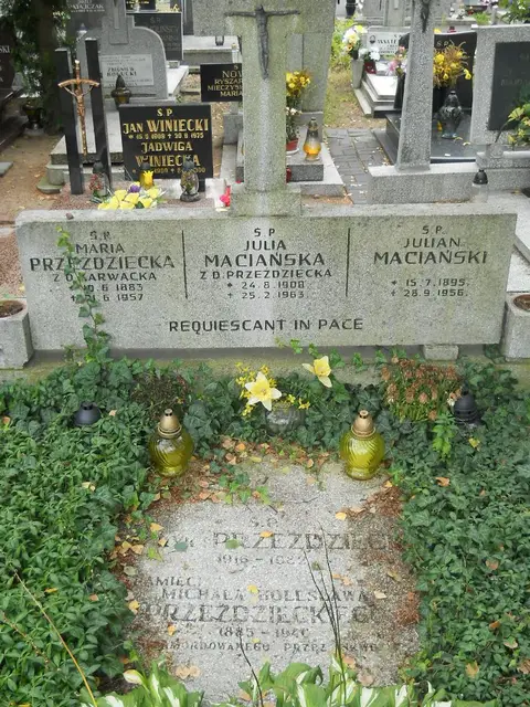 Zdjęcie grobu 16/26112