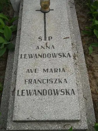 Zdjęcie grobu 22/116