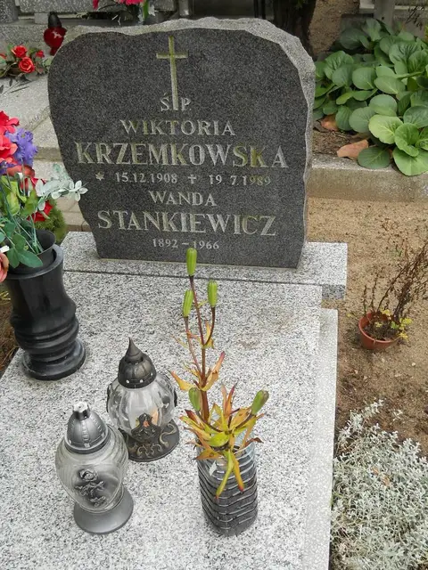 Zdjęcie grobu 12/29456