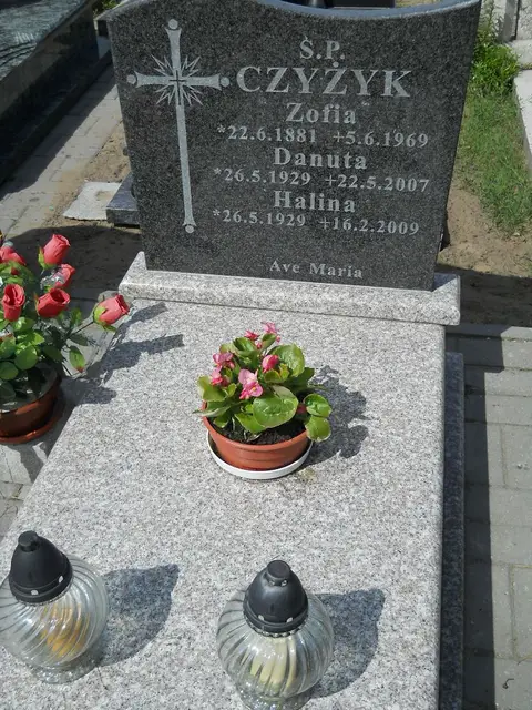 Zdjęcie grobu 7/11401