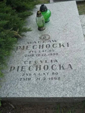 Zdjęcie grobu 43/297,298