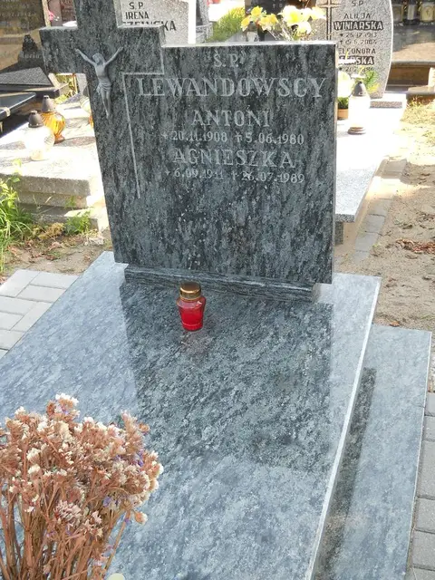 Zdjęcie grobu 14/27711