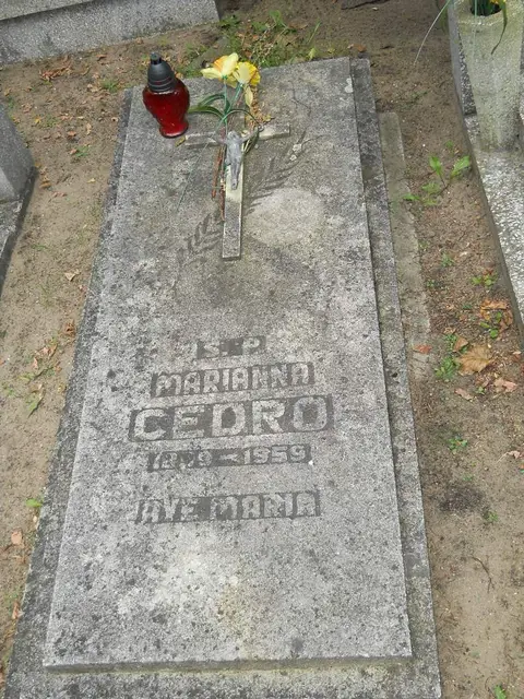 Zdjęcie grobu 12/29447