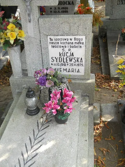Zdjęcie grobu 19/28572