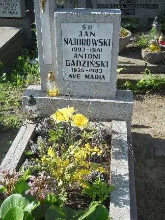 Zdjęcie grobu 20/100