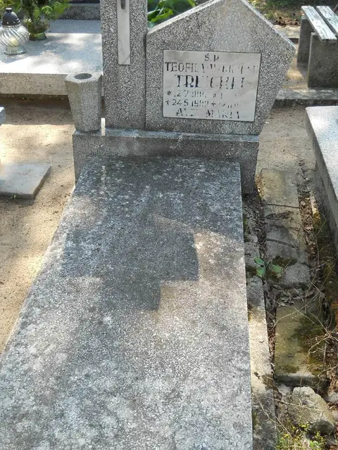 Zdjęcie grobu 14/27314