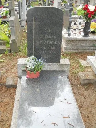 Zdjęcie grobu Ha/56
