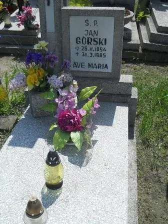Zdjęcie grobu 25/351