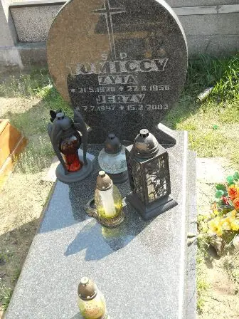 Zdjęcie grobu 29/2