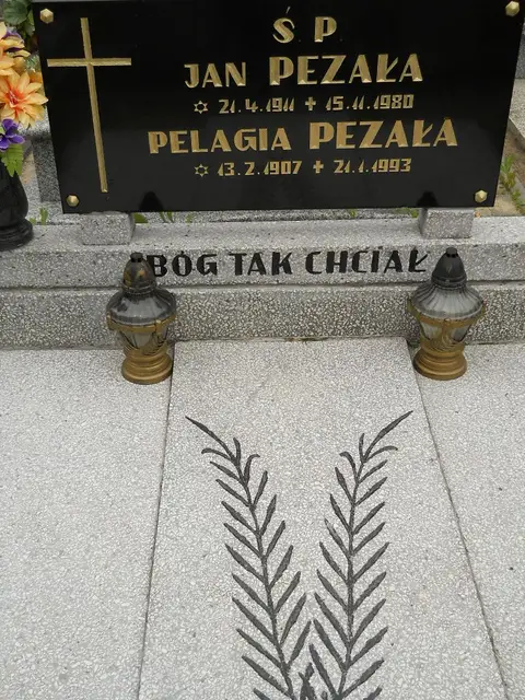 Zdjęcie grobu 7/11008