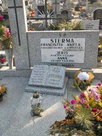 Zdjęcie grobu 2/100