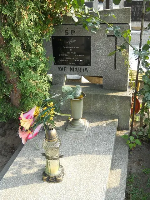 Zdjęcie grobu 23/28732