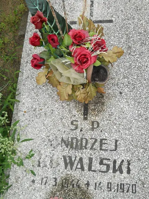 Zdjęcie grobu 22/23578