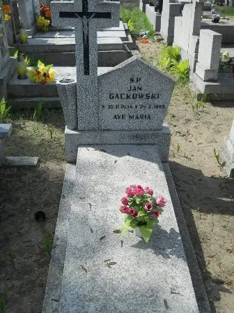 Zdjęcie grobu Ib/50
