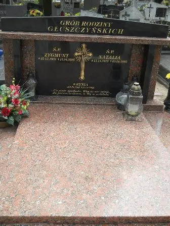 Zdjęcie grobu 21/223,223a