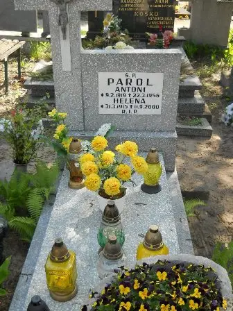 Zdjęcie grobu 28/132