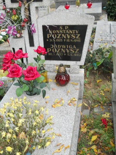 Zdjęcie grobu 15/26764