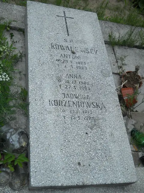 Zdjęcie grobu 7/11656