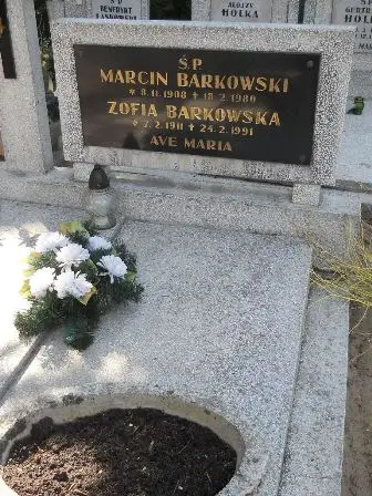 Zdjęcie grobu 35/317,318