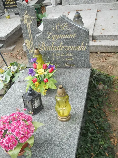 Zdjęcie grobu 13/29694