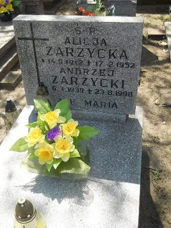 Zdjęcie grobu 11/261