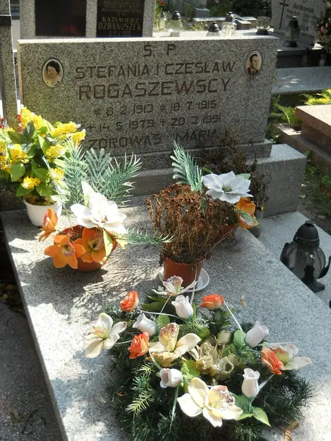 Zdjęcie grobu 18/28236
