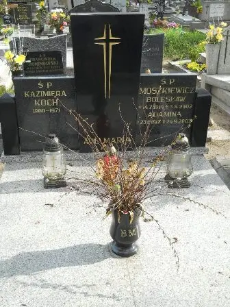 Zdjęcie grobu 9/100