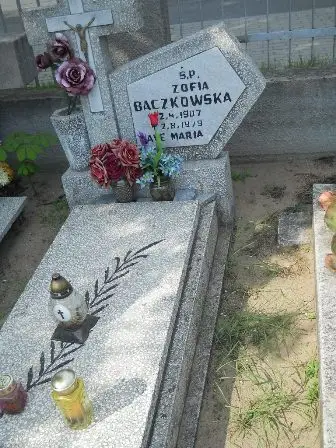 Zdjęcie grobu 100/100