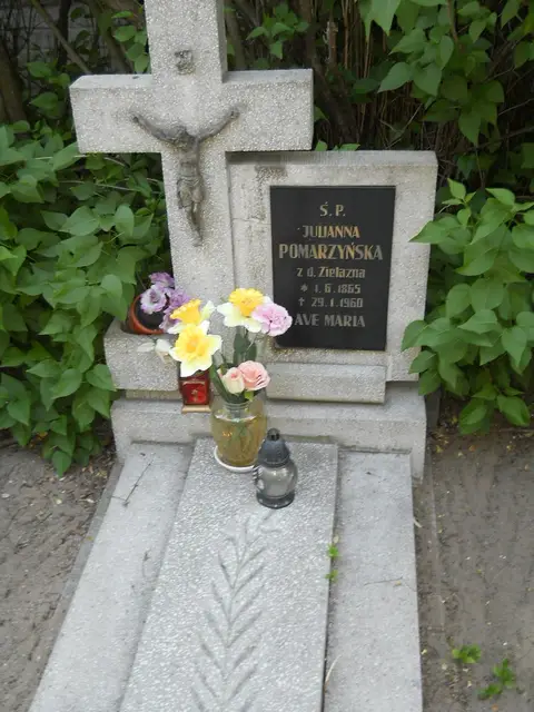 Zdjęcie grobu 13/12185