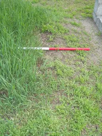 Zdjęcie grobu 44/100