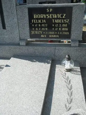 Zdjęcie grobu 35/100