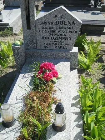 Zdjęcie grobu 46/89