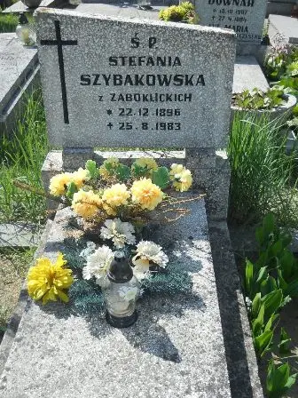 Zdjęcie grobu 20/433