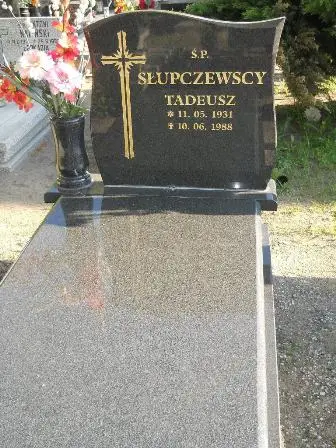 Zdjęcie grobu 45/186