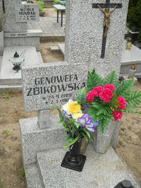 Zdjęcie grobu 7/10873