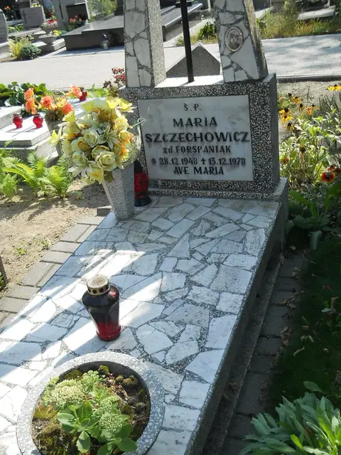 Zdjęcie grobu 18/28469